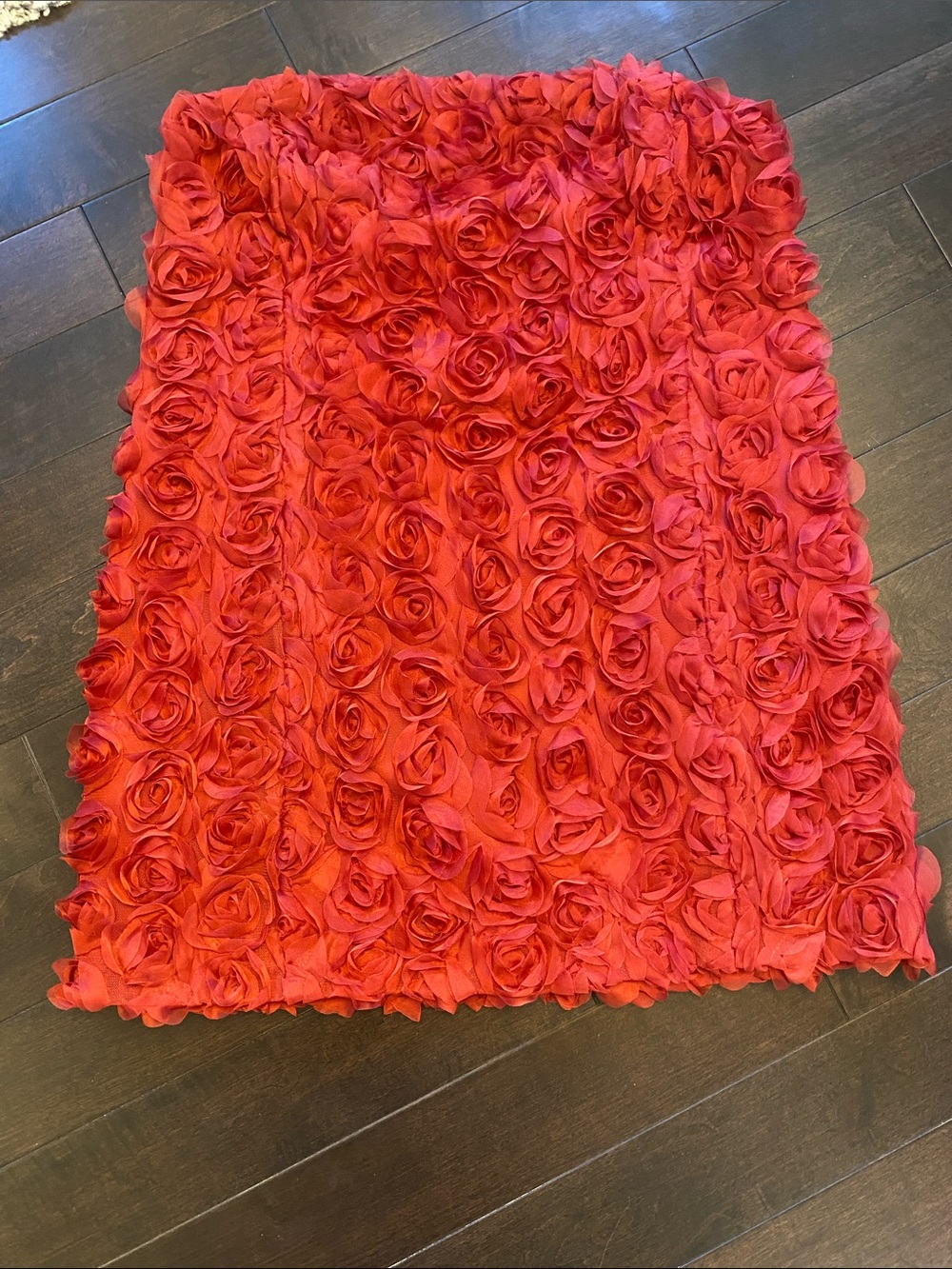 Red Rose Bandeau Mini Dress